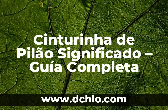 Cómo Se Toman Las Semillas de Chía: Guía Definitiva 4 Cinturinha de Pilão Significado – Guía Completa
