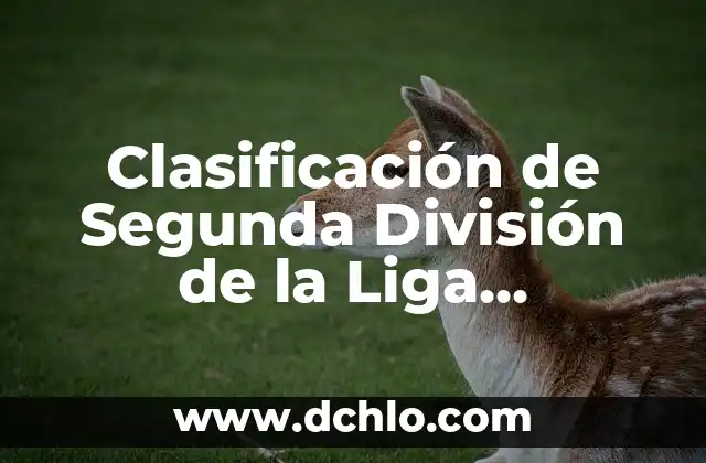 Clasificación de Fútbol de la Primera División: Todo lo que Necesitas Saber 8 Clasificación de Segunda División de la Liga Española – Todo lo que Necesitas Saber