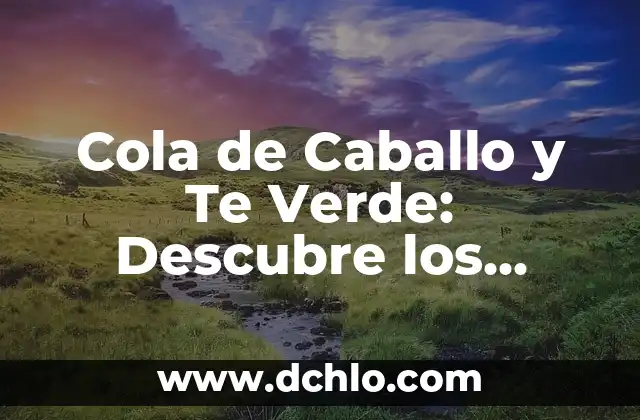 ¿Qué Color Da Rojo y Verde? 7 Cola de Caballo y Te Verde: Descubre los Beneficios de esta Combinación Natural