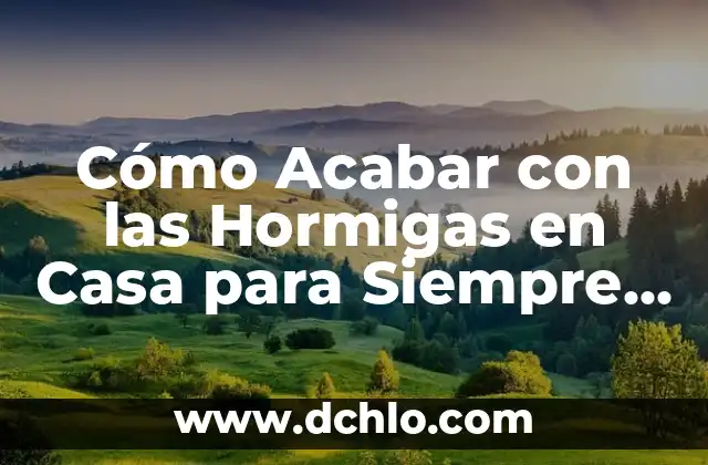 Cómo Acabar con las Hormigas en Casa para Siempre - Guía Definitiva