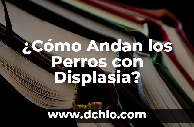 Frutas que pueden comer los perros: Guía completa y segura 6 ¿Cómo Andan los Perros con Displasia?