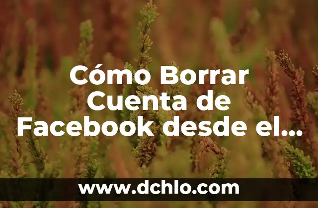 Cómo Eliminar una Cuenta de TikTok - Guía Paso a Paso 7 Cómo Borrar Cuenta de Facebook desde el Móvil (Desactivar o Eliminar)