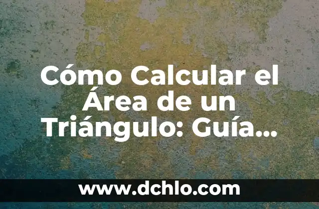 Código de Verificación de WhatsApp sin Pedirlo - Guía Completa 8 Cómo Calcular el Área de un Triángulo: Guía Detallada y Completa