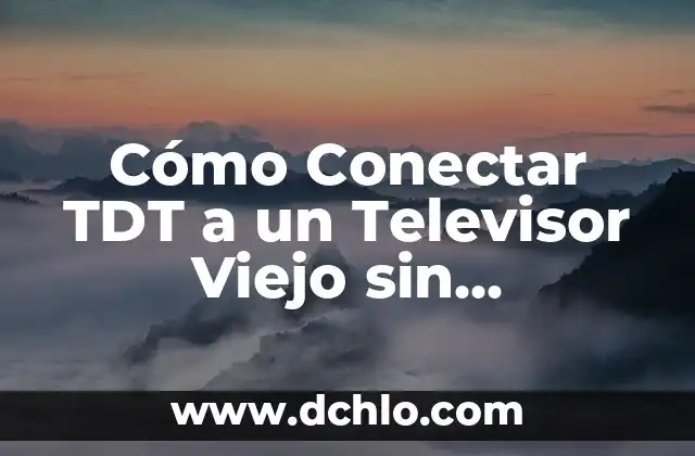 El Árbol Más Viejo del Mundo: Una Maravilla Natural 8 Cómo Conectar TDT a un Televisor Viejo sin Decodificador