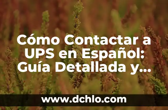 Cómo Contactar a UPS en Español: Guía Detallada y Completa