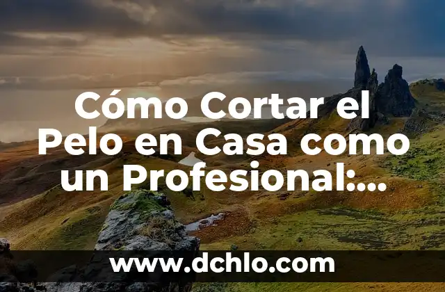 Cómo Se Toman Las Semillas de Chía: Guía Definitiva 8 Cómo Cortar el Pelo en Casa como un Profesional: Guía Detallada