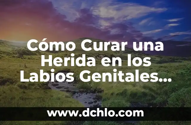 ¿Qué pasa si me duelen los labios genitales? 5 Cómo Curar una Herida en los Labios Genitales de Forma Natural y Segura