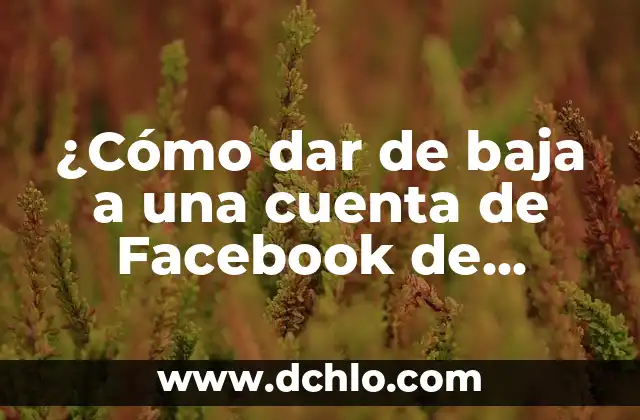 ¿Cómo Celebrar el Día de las Madres de una Manera Especial? 3 ¿Cómo dar de baja a una cuenta de Facebook de manera definitiva?