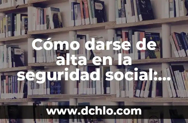 Darse de alta en la seguridad social por primera vez: Guía completa 6 Cómo darse de alta en la seguridad social: Guía completa y actualizada