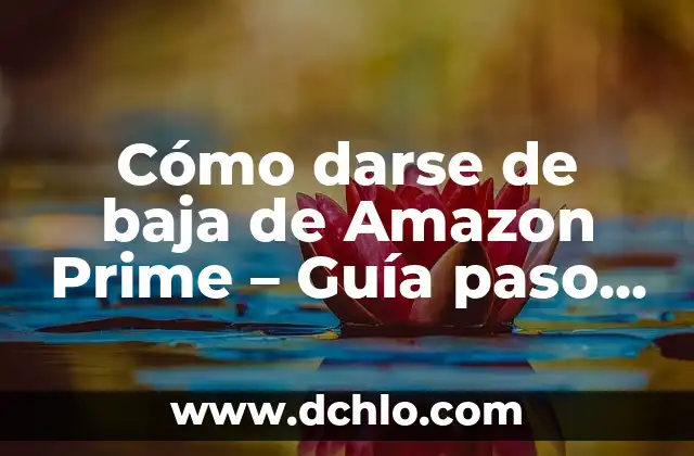 Darse de alta en la seguridad social por primera vez: Guía completa 4 Cómo darse de baja de Amazon Prime – Guía paso a paso