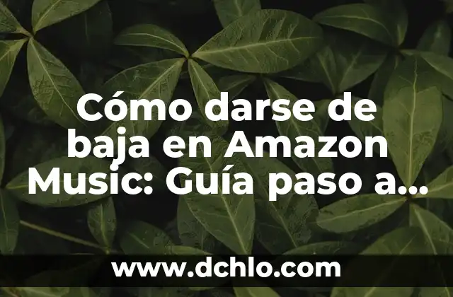 Darse de alta en la seguridad social por primera vez: Guía completa 3 Cómo darse de baja en Amazon Music: Guía paso a paso para cancelar tu suscripción