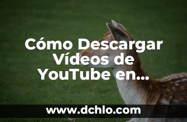 Cómo Descargar Videos de YouTube al Ordenador de Forma Segura y Gratuita 4 Cómo Descargar Vídeos de YouTube en Android – Guía Completa