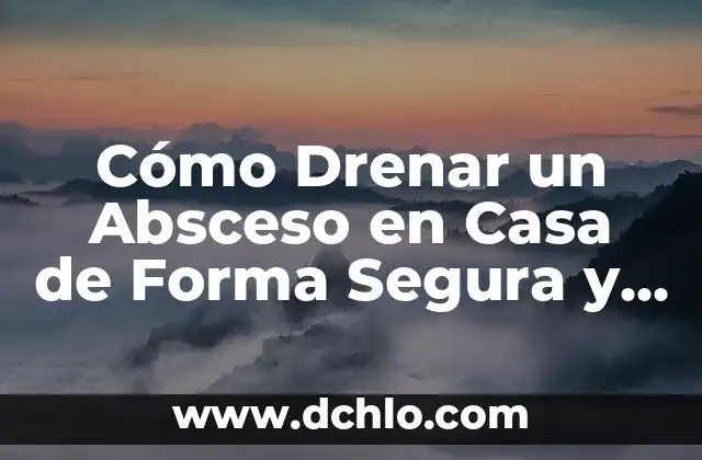 Cómo Acabar con las Hormigas en Casa para Siempre - Guía Definitiva 8 Cómo Drenar un Absceso en Casa de Forma Segura y Eficaz