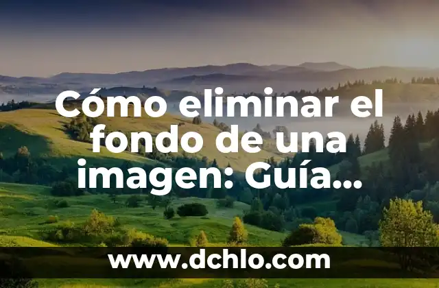 Cómo Buscar una Imagen en Internet de Forma Eficiente 7 Cómo eliminar el fondo de una imagen: Guía detallada y completa