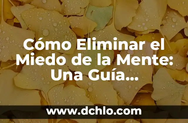 Ansiedad de amor significado 6 Cómo Eliminar el Miedo de la Mente: Una Guía Definitiva para una Vida Libre de Ansiedad