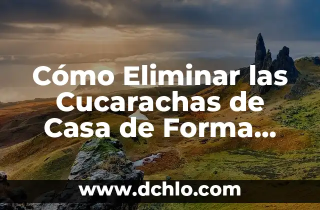 Cómo Eliminar una Cuenta de TikTok - Guía Paso a Paso 6 Cómo Eliminar las Cucarachas de Casa de Forma Permanente