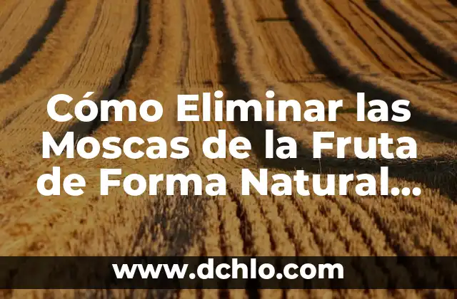 Cómo Eliminar una Cuenta de TikTok - Guía Paso a Paso 8 Cómo Eliminar las Moscas de la Fruta de Forma Natural y Efectiva