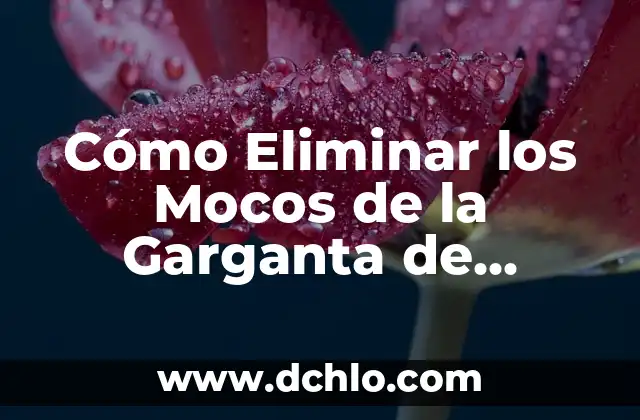 Cómo Eliminar una Cuenta de TikTok - Guía Paso a Paso 4 Cómo Eliminar los Mocos de la Garganta de Forma Natural y Efectiva