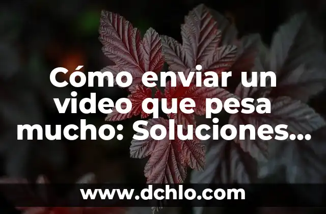 Cuánto Pesa un Niño de 2 Años: Guía Detallada y Actualizada 5 Cómo enviar un video que pesa mucho: Soluciones y trucos prácticos