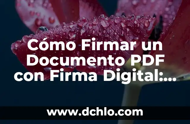 Cómo Firmar con Certificado Digital un PDF de Forma Segura y Fácil 5 Cómo Firmar un Documento PDF con Firma Digital: Una Guía Completa