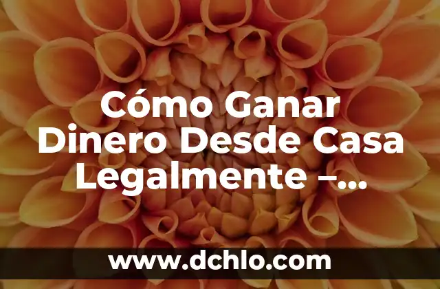 Cómo Acabar con las Hormigas en Casa para Siempre - Guía Definitiva 7 Cómo Ganar Dinero Desde Casa Legalmente – Oportunidades Legítimas