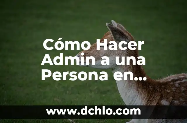 Como hacer hablar a una persona cuando duerme 4 Cómo Hacer Admin a una Persona en Discord