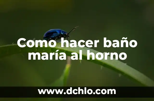 La Inmaculada Pureza de María: Un Concepto Fundamental 3 Como hacer baño maría al horno