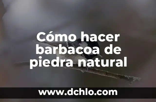 Como Hacer Salsa Barbacoa Casera Fácil 5 Cómo hacer barbacoa de piedra natural