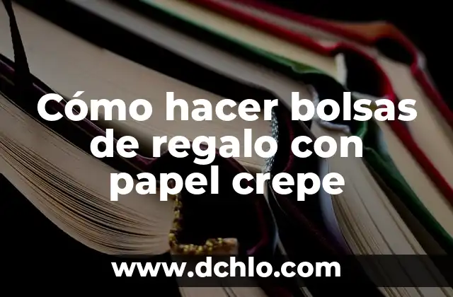 Como Hacer Cortinas con Papel Crepe para Cumpleaños 7 Cómo hacer bolsas de regalo con papel crepe