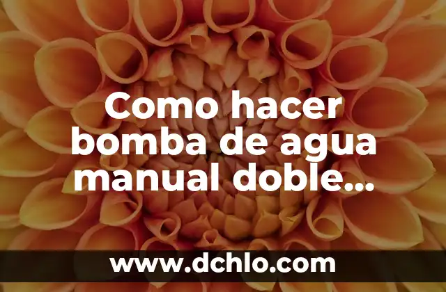 Significado de Se lo pasa bomba 5 Como hacer bomba de agua manual doble impulsión casera