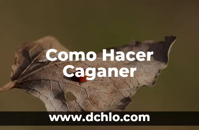 Como Hacer Oli Skate 3 Como Hacer Caganer