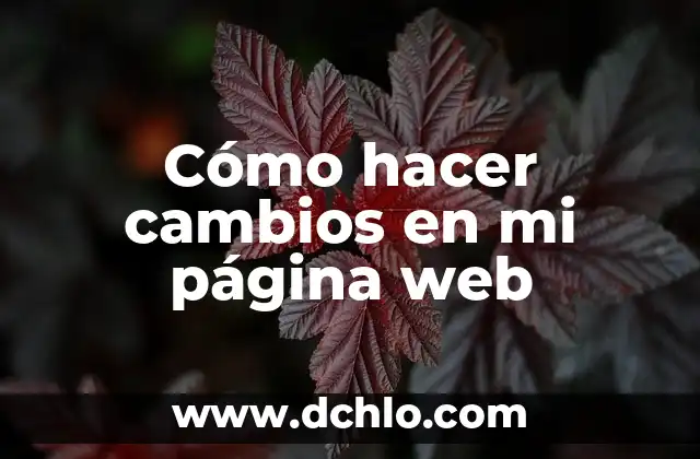 Cómo hacer cambios en mi página web