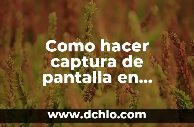 Cómo hacer captura de pantalla con Samsung S20 5 Como hacer captura de pantalla en Samsung Gran Neo Plus