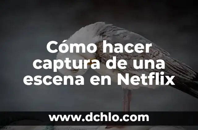 El Significado de Escena Retrospectiva: Guía Completa 5 Cómo hacer captura de una escena en Netflix