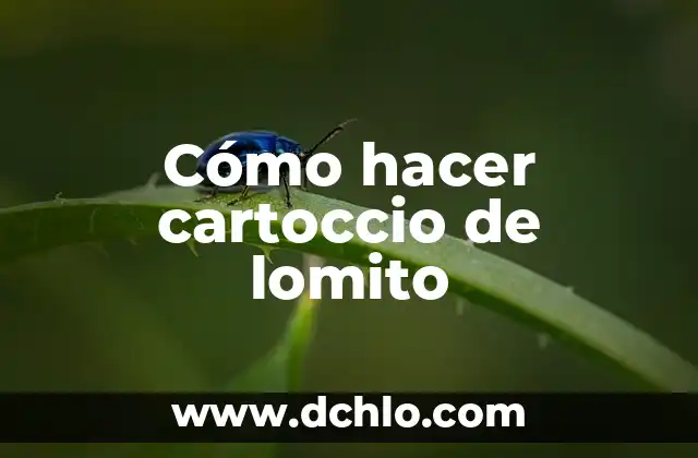 C贸mo hacer un informe de ordenamiento territorial 5 C贸mo hacer cartoccio de lomito