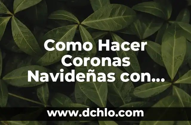 Cómo hacer una casa para perro con cajas de plástico 4 Como Hacer Coronas Navideñas con Botellas de Plástico