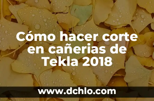 Mes de Elul 2018: Un Periodo de Reflexión Espiritual 5 Cómo hacer corte en cañerias de Tekla 2018