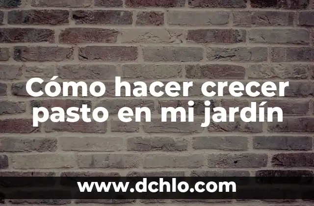 Cómo hacer crecer las cejas rápidamente remedios caseros 8 Cómo hacer crecer pasto en mi jardín