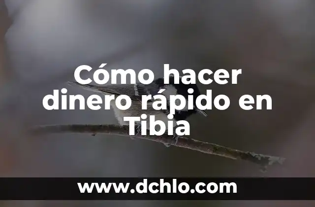 Cómo Hacer Más Dinero con Dinero 4 Cómo hacer dinero rápido en Tibia