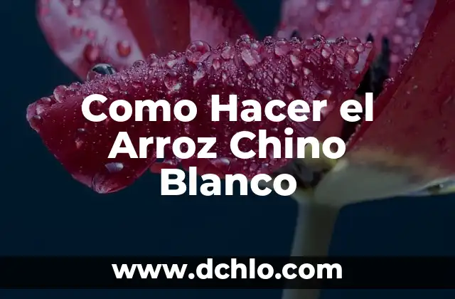 Cómo hacer una máscara de dinosaurio rex en foami 3 Como Hacer el Arroz Chino Blanco