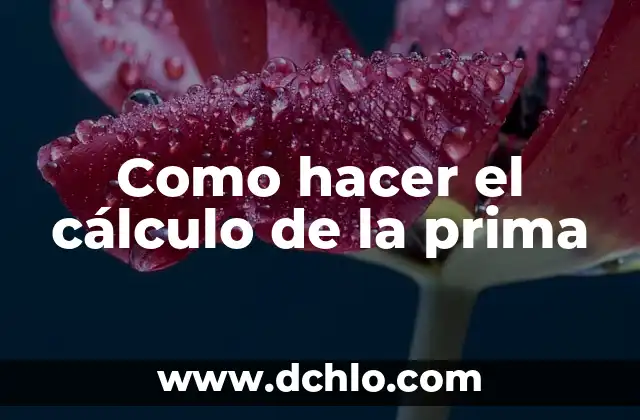 Como hacer el cálculo de la prima 3 Como hacer el cálculo de la prima