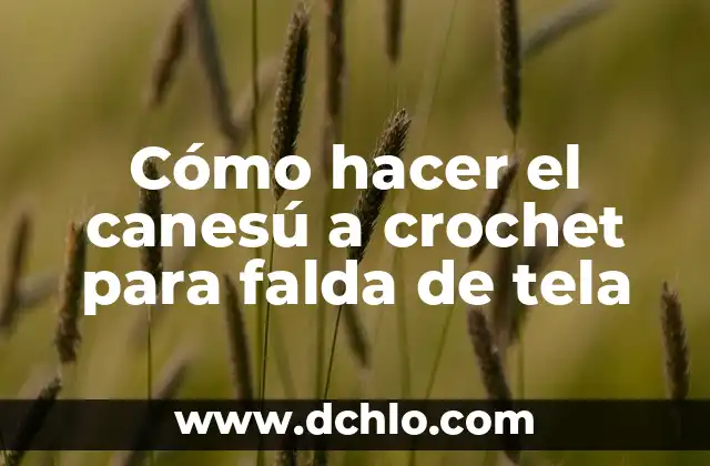 C贸mo hacer un disfraz de puerro 3 C贸mo hacer el canes煤 a crochet para falda de tela