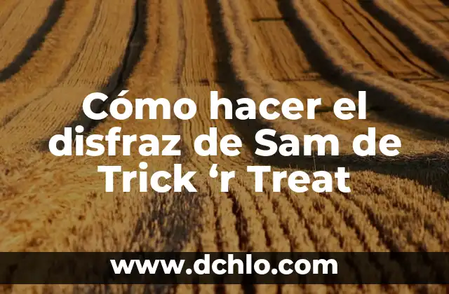 Significado del Disfraz de Diablo 4 Cómo hacer el disfraz de Sam de Trick ‘r Treat