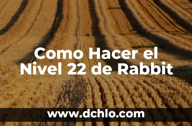 Hospital de Tercer Nivel Significado 6 Como Hacer el Nivel 22 de Rabbit