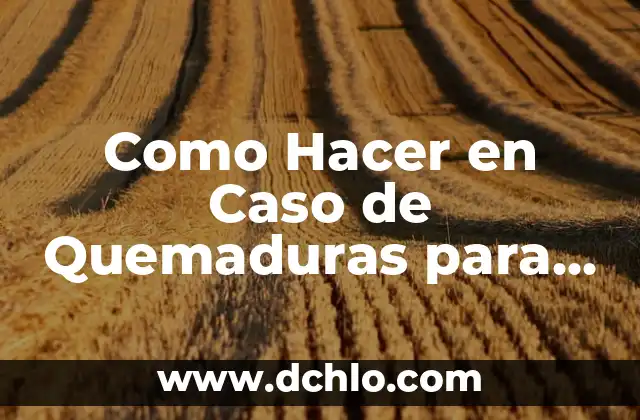 El Misterioso Caso del Carnicero de Giles 4 Como Hacer en Caso de Quemaduras para que no Duelan
