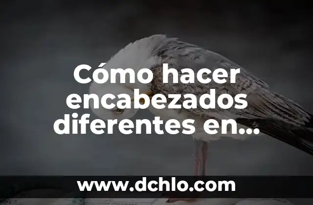 El Significado de Somática y Su Importancia en Diferentes Campos 7 Cómo hacer encabezados diferentes en Word