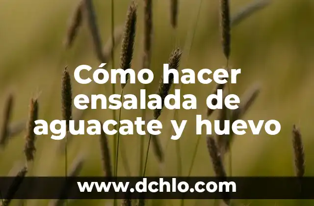 Huevo de Pascua en Videojuegos: Descubriendo Secretos Digitales 5 Cómo hacer ensalada de aguacate y huevo