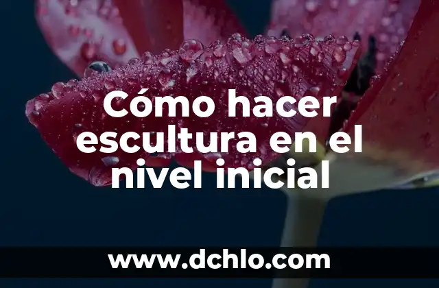 Hospital de Tercer Nivel Significado 5 Cómo hacer escultura en el nivel inicial