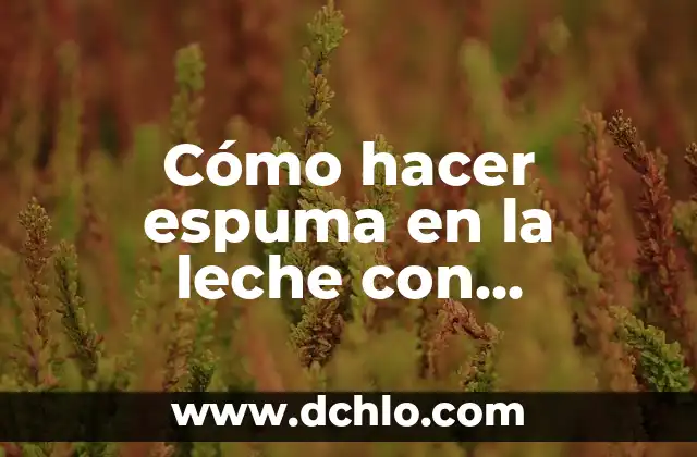Cómo hacer espuma con la leche 8 Cómo hacer espuma en la leche con vaporizador