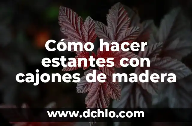 Como Hacer Corte Circular en Madera 8 Cómo hacer estantes con cajones de madera